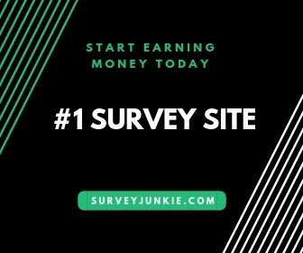 take online surverys